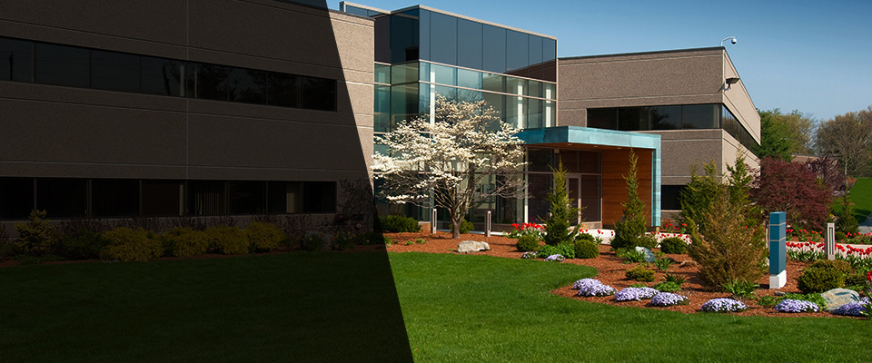 Puyallup Landscapers